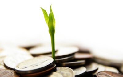 How a Compensation Plan Can Grow your Business