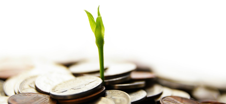 How a Compensation Plan Can Grow your Business