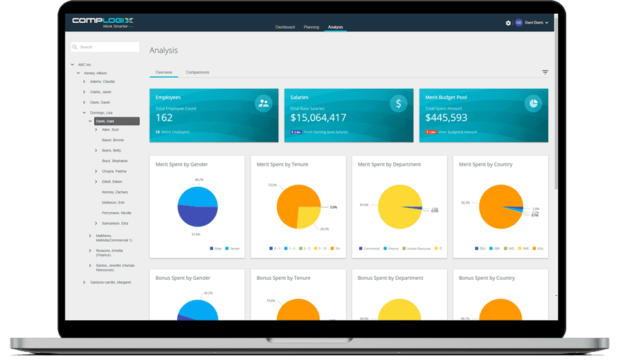screenshot analysis overview from desktop hr software