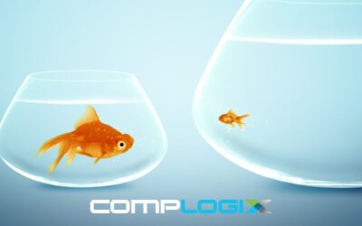 The Benefits of Automated Compensation Management for Small and Large Companies