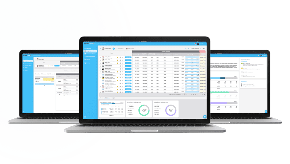 screenshot analysis overview from desktop hr software